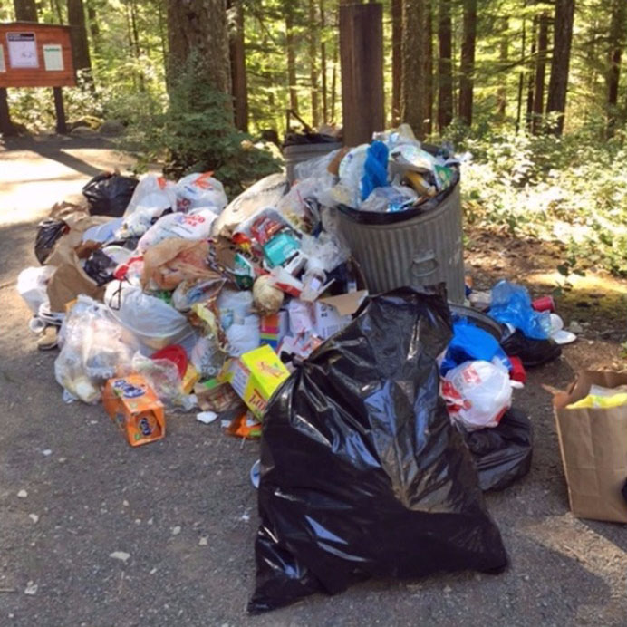 PKB - How do I report a Parks & Recreation Maintenance Issue?